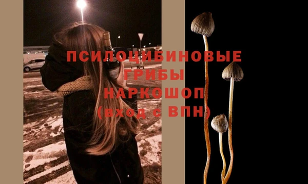 первитин Лиски