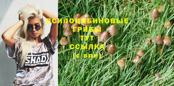 первитин Лиски