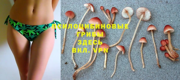 прущая мука Липки
