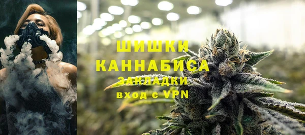 ГАЛЛЮЦИНОГЕННЫЕ ГРИБЫ Магас