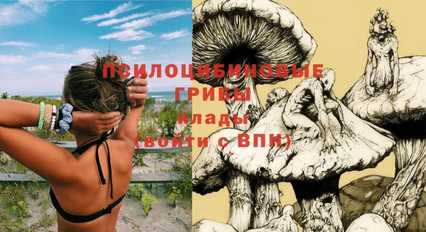 первитин Лиски