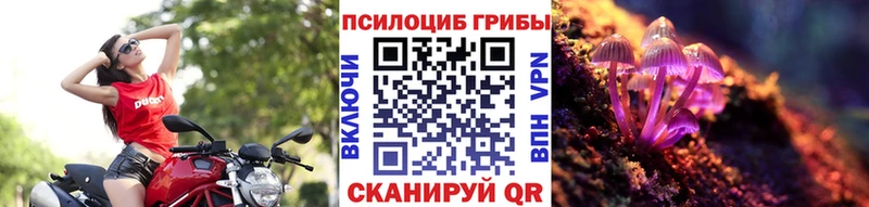 Галлюциногенные грибы ЛСД  Купить  Зима 